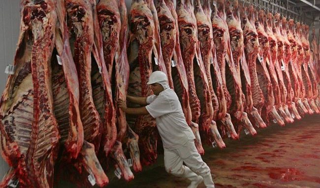 carne