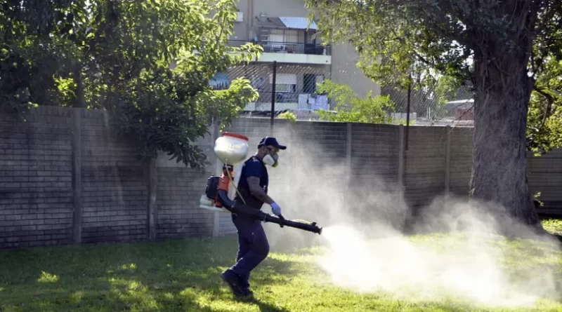 La Pampa ya tiene 300 casos de dengue: 152 autóctonos
