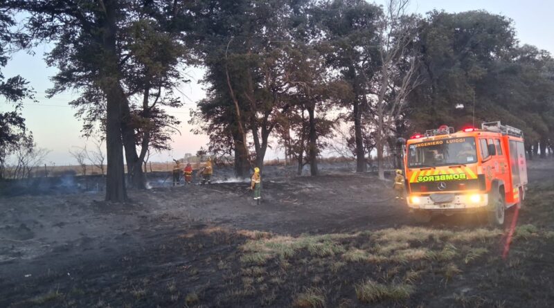 Ingeniero Luiggi: viento y un desperfecto eléctrico habrían sido el origen de un incendio de banquina